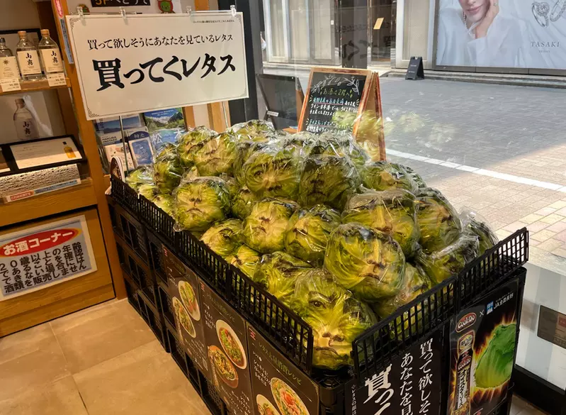 圖片7