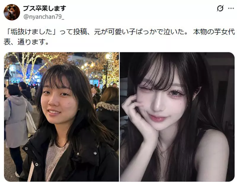 圖片2 圖片2