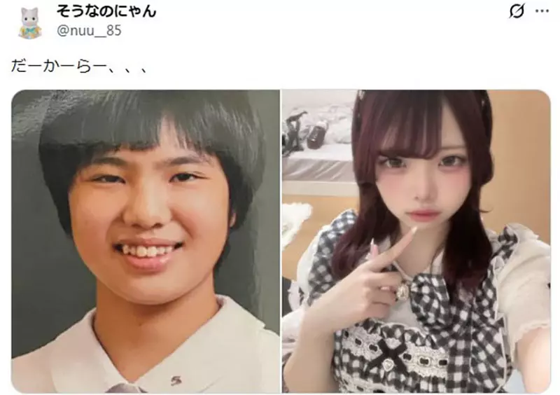 圖片12 圖片12