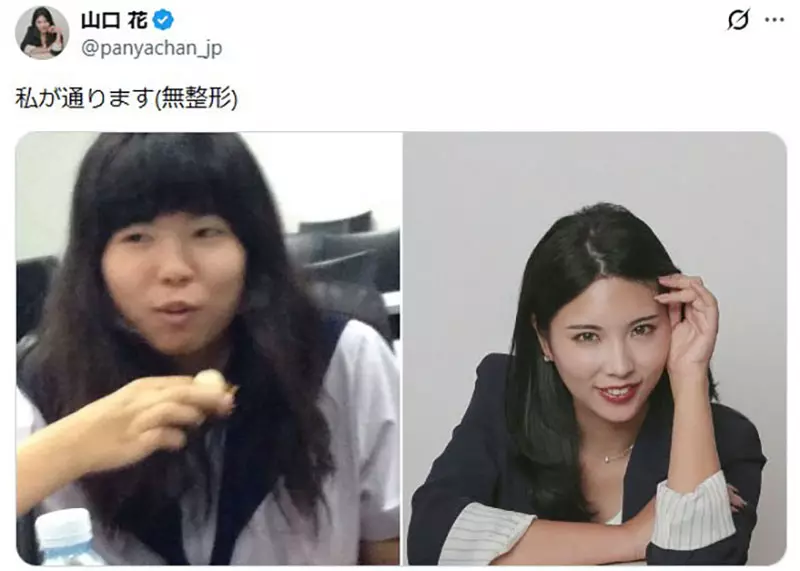 圖片15 圖片15