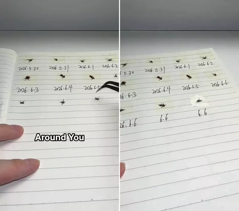 圖片4