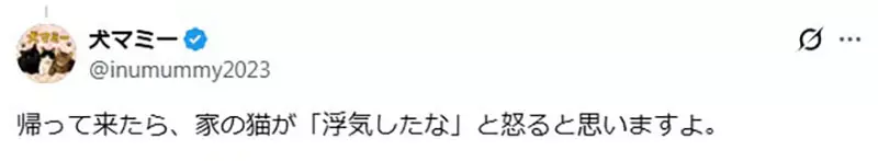 圖片10 圖片10