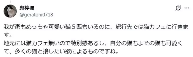 圖片11 圖片11