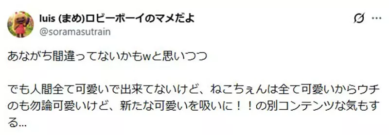 圖片7 圖片7