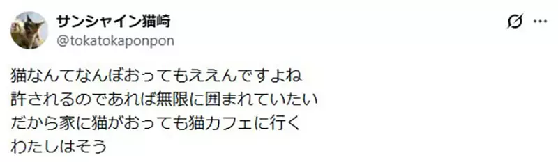 圖片13 圖片13