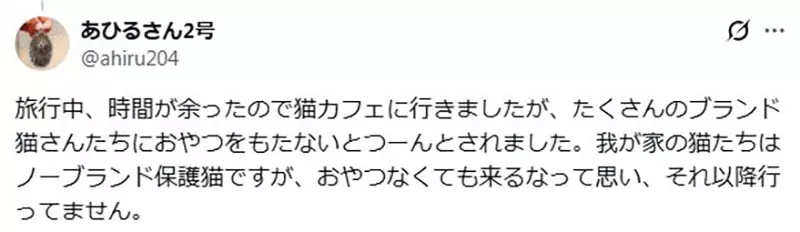 圖片14 圖片14