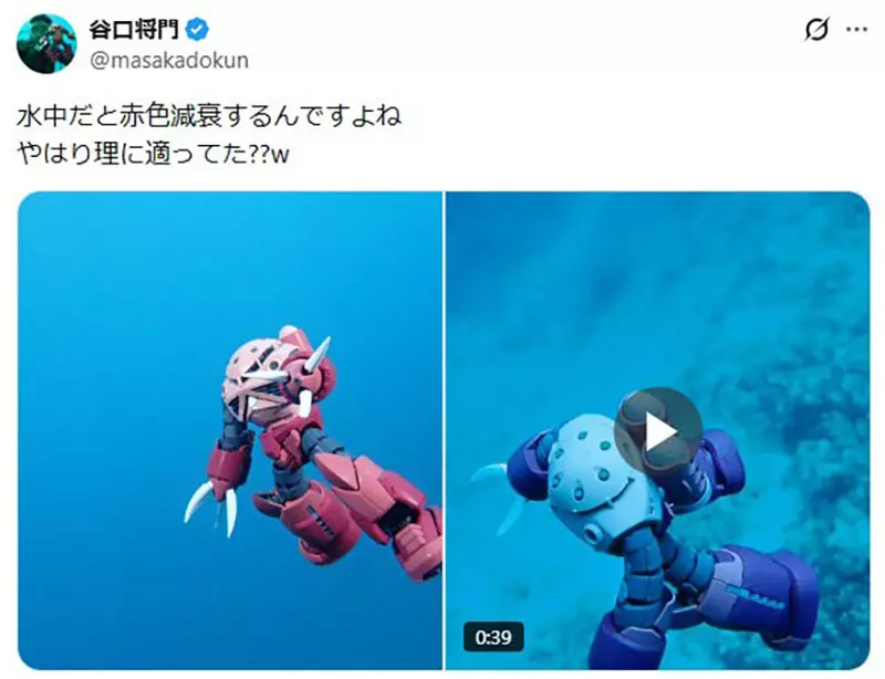 圖片5