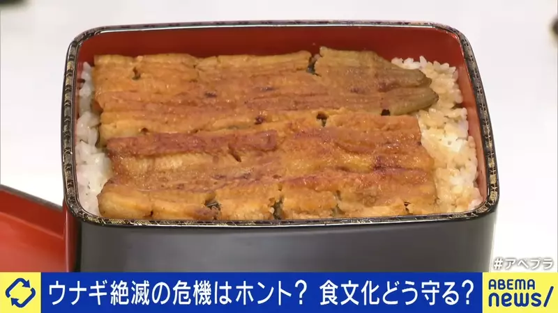 圖片12
