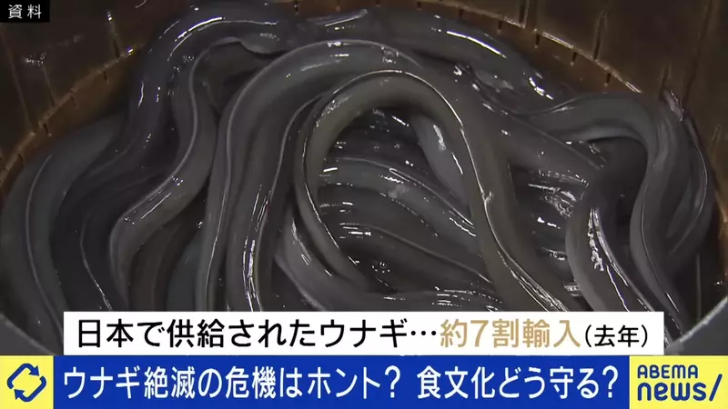 圖片11