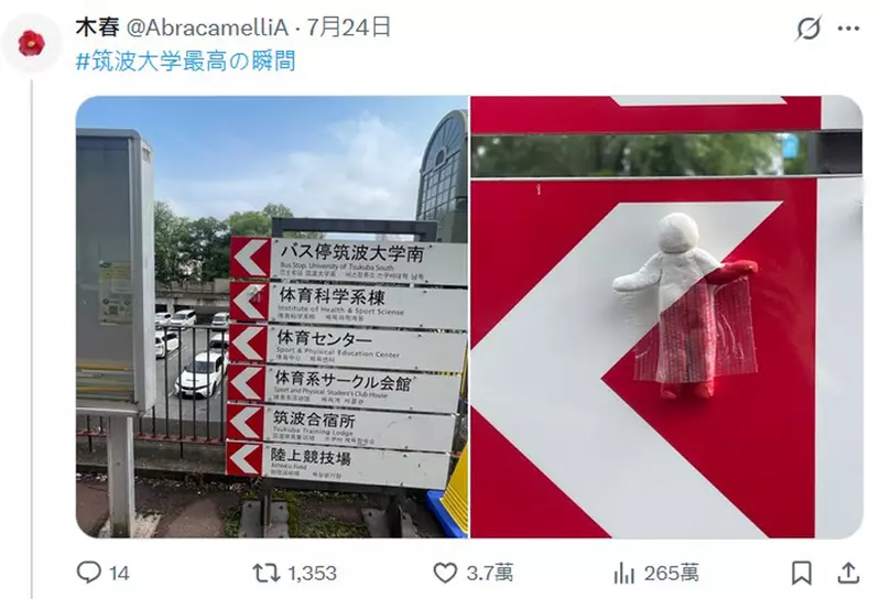 圖片7 圖片7