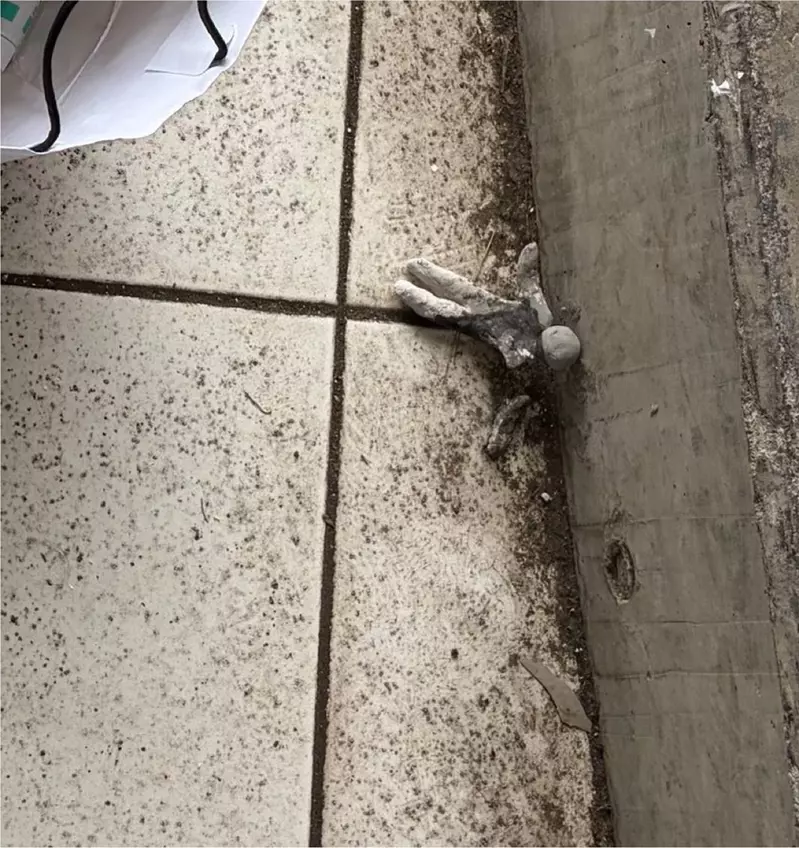 圖片12 圖片12