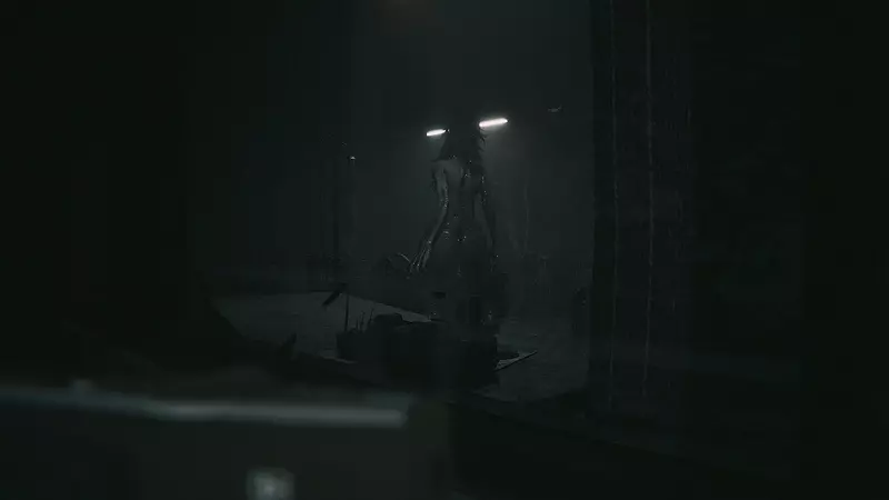 圖片5