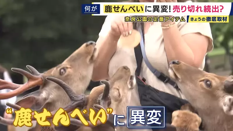 圖片1
