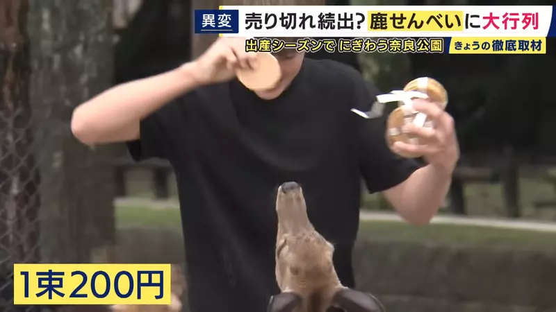 圖片4