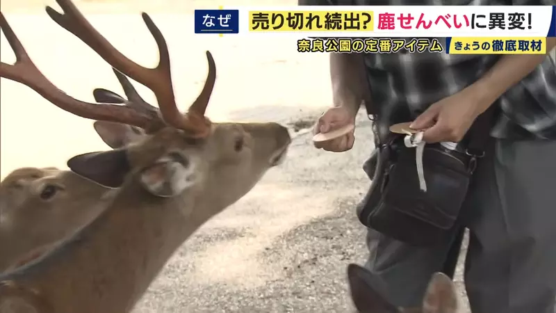 圖片5