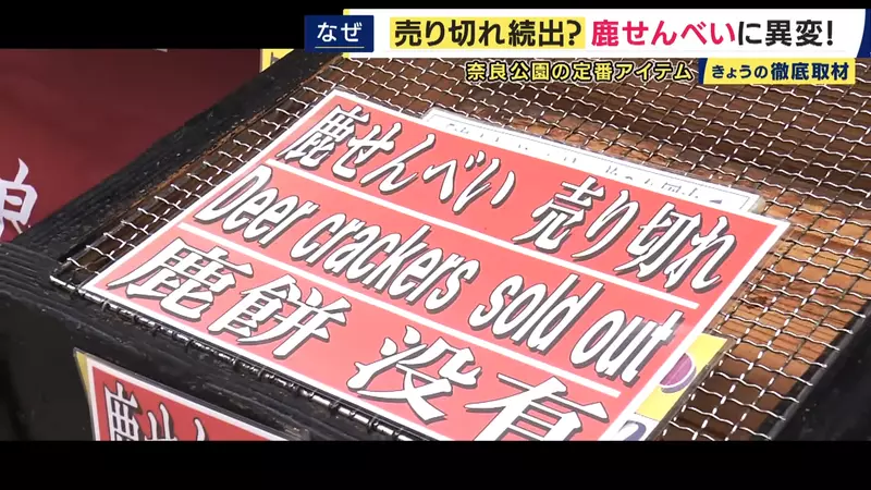 圖片7