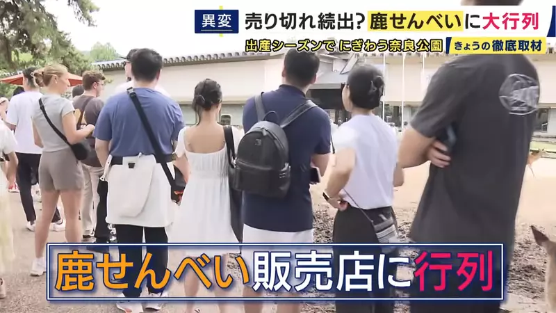 圖片9