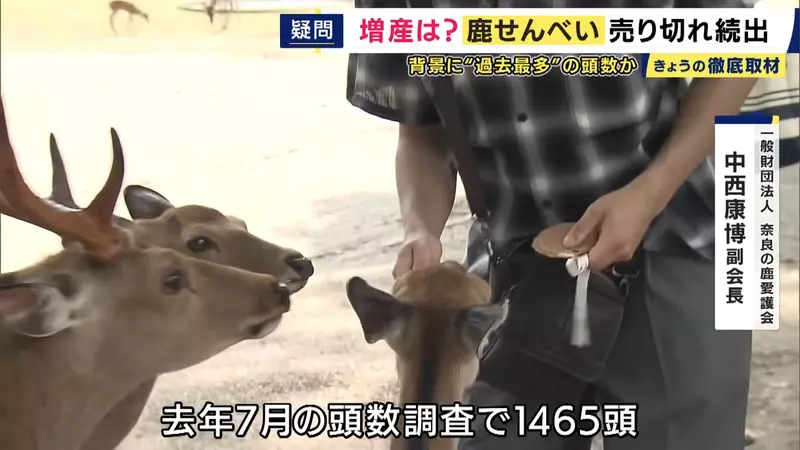 圖片13