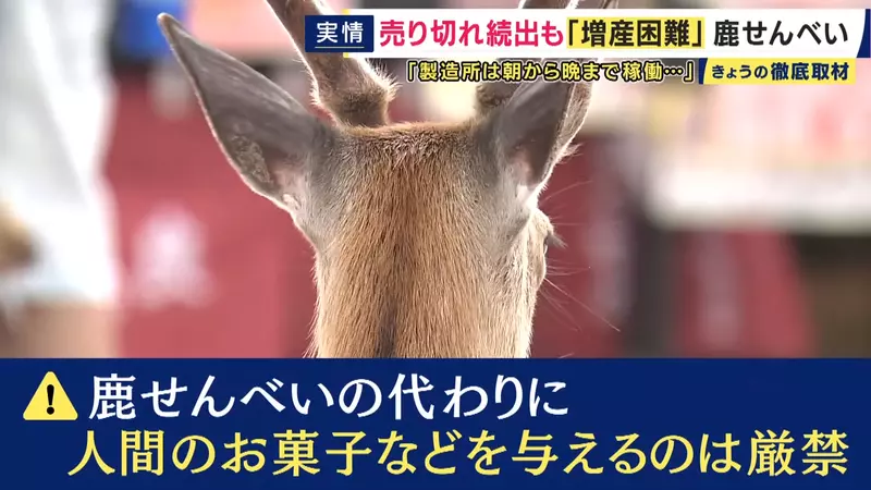 圖片25