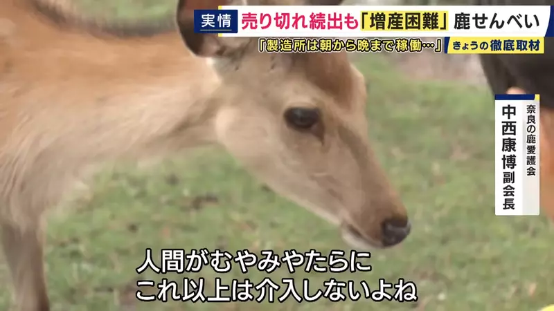 圖片28