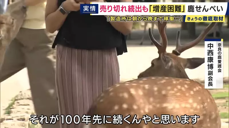 圖片29