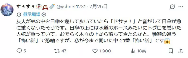 圖片11 圖片11