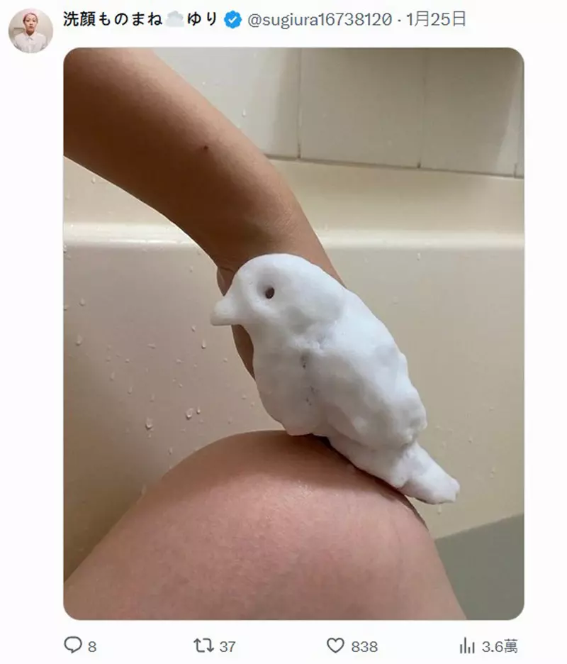 圖片7