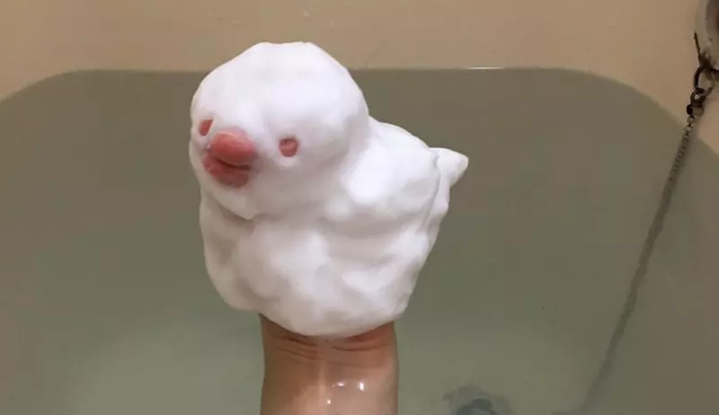 圖片1