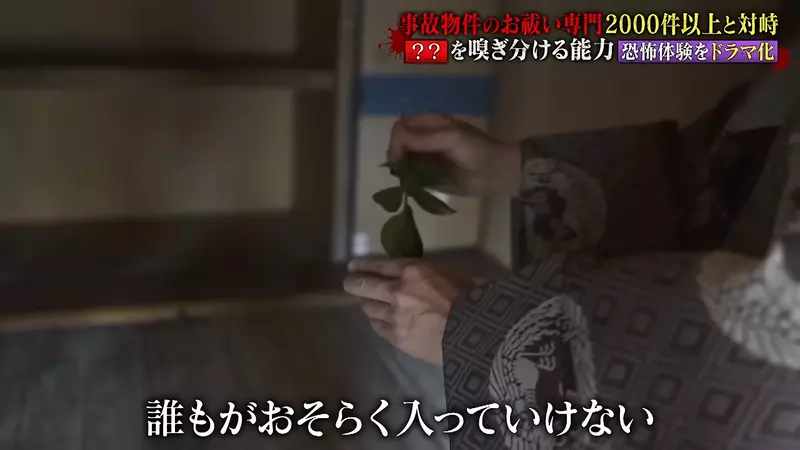 圖片6