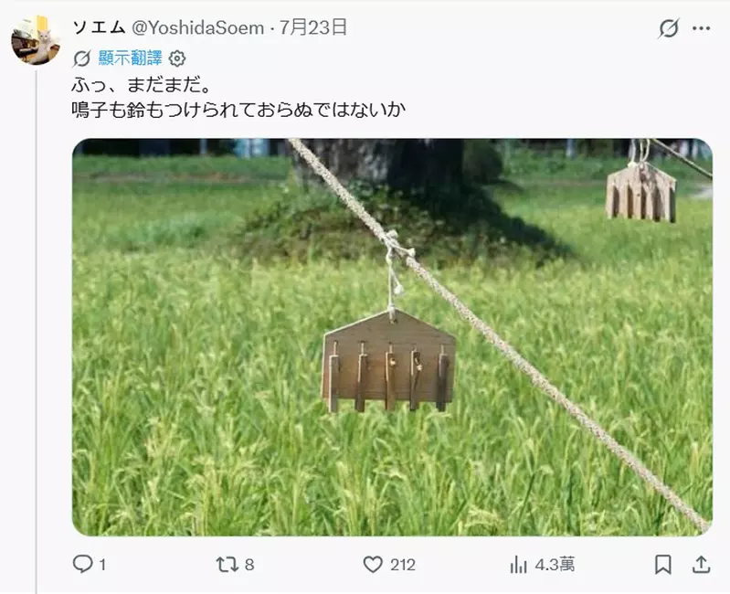 圖片6 圖片6