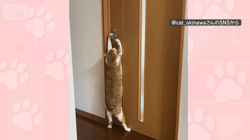 圖片4 圖片4