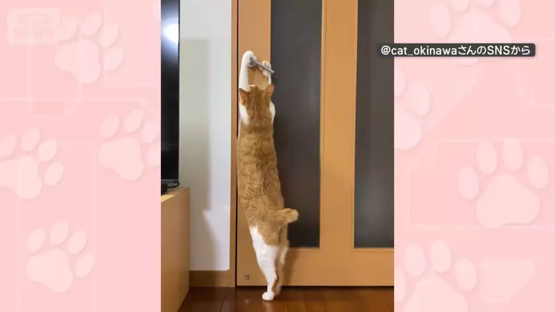 圖片3 圖片3