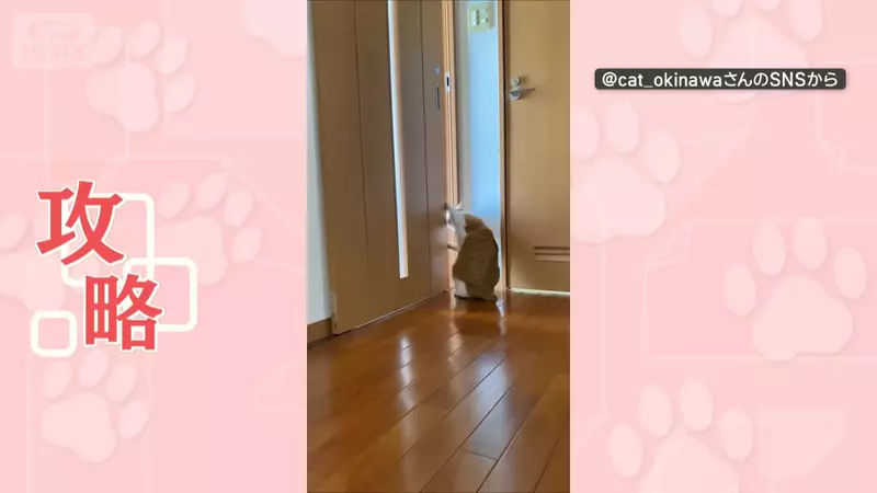 圖片6 圖片6