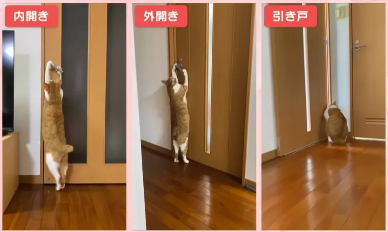 圖片1 圖片1