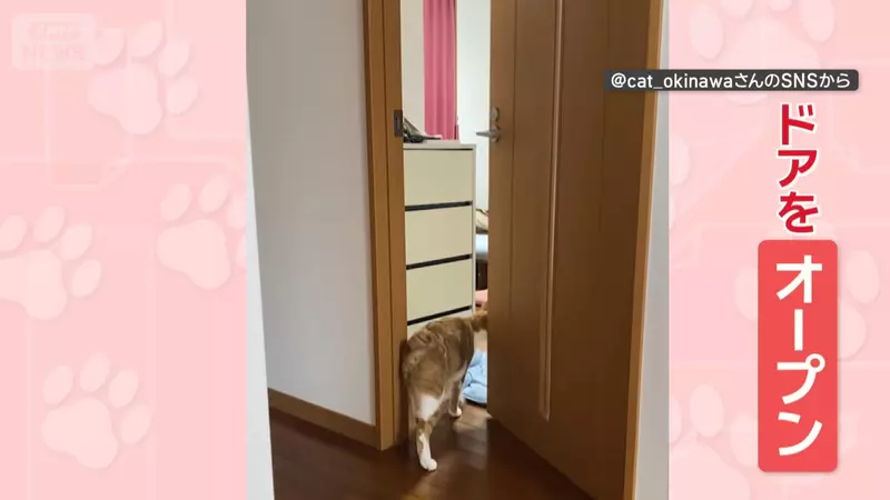 圖片5 圖片5
