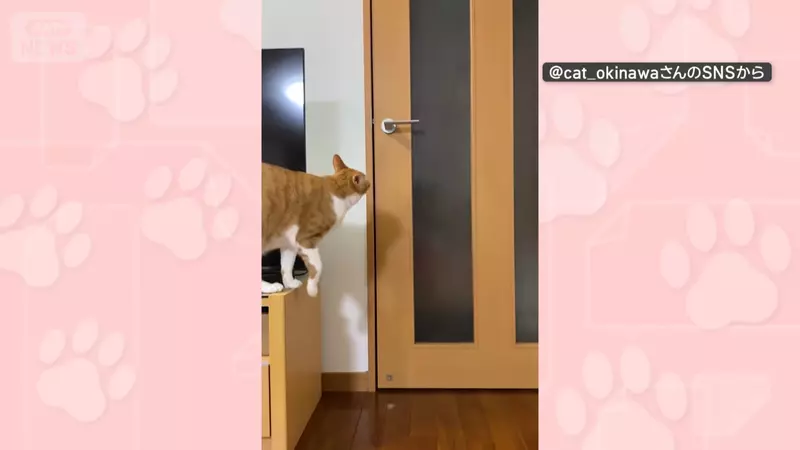 圖片2 圖片2