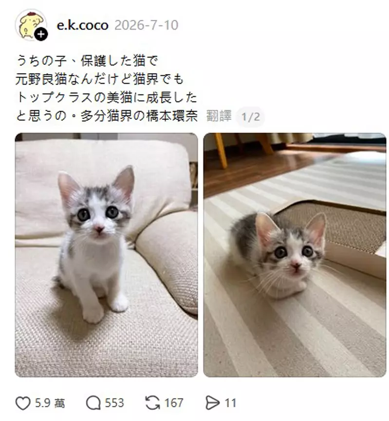 圖片2 圖片2