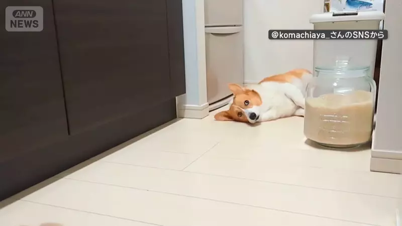 圖片5 圖片5