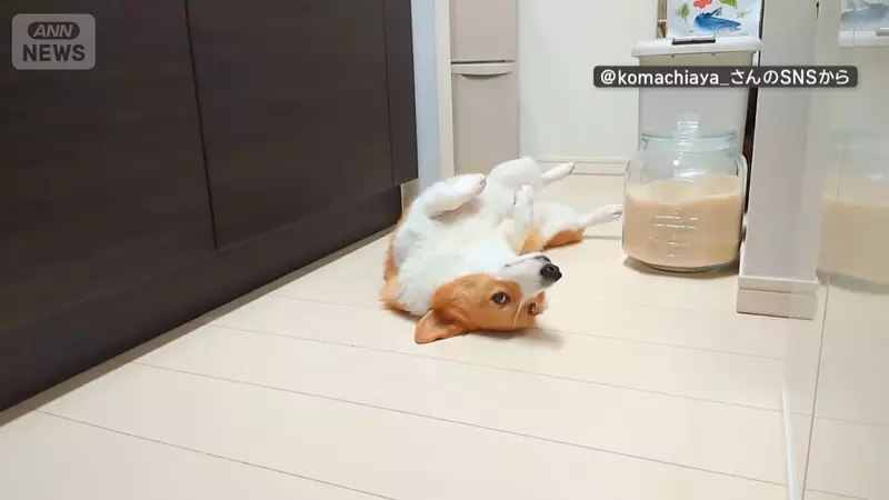 圖片1 圖片1