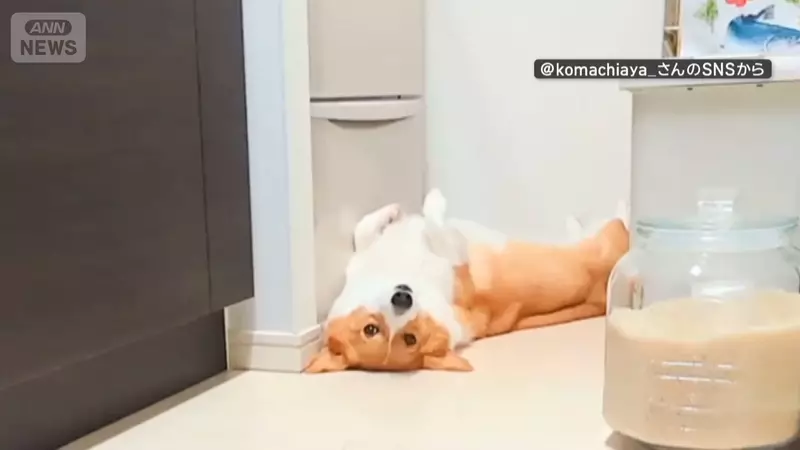 圖片3 圖片3
