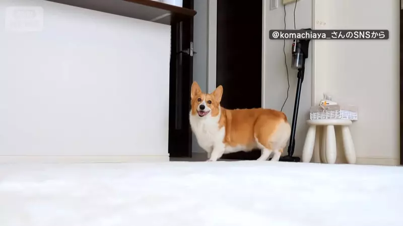 圖片2 圖片2