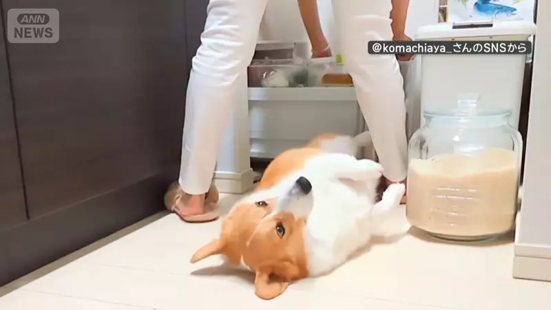 圖片4 圖片4