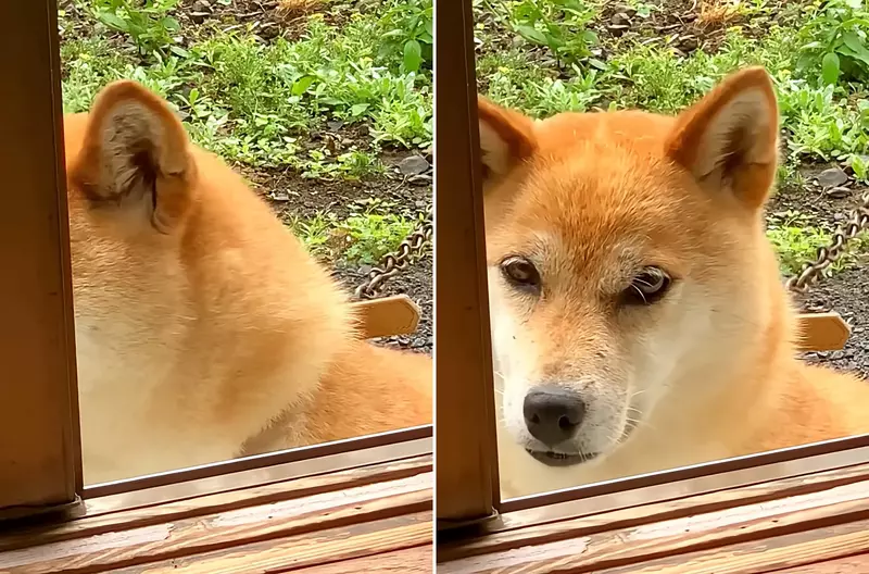 圖片1