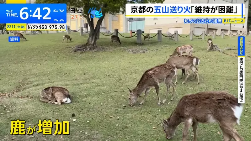 圖片8 圖片8