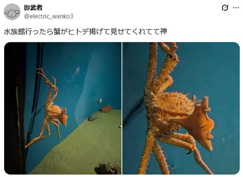 圖片2 圖片2