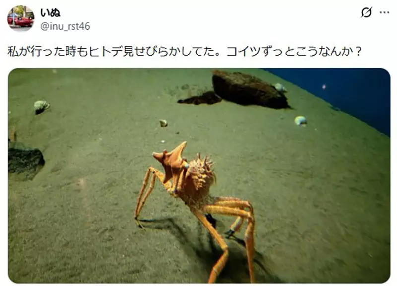 圖片8 圖片8