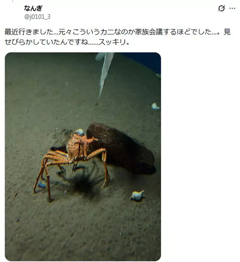 圖片9 圖片9