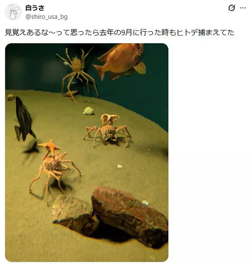 圖片10 圖片10