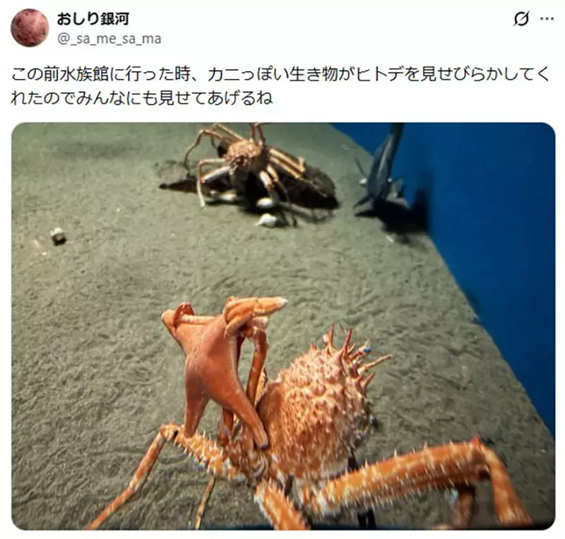 圖片6 圖片6
