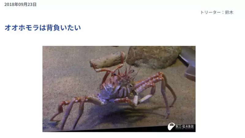 圖片13 圖片13